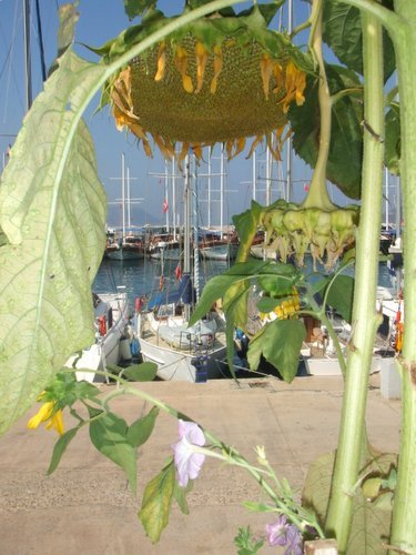 Kas Harbour