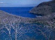 Isla Isabela