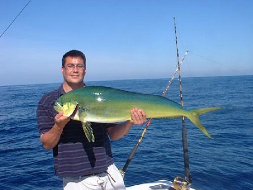 Mahi Mahi