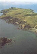 Tiritiri Matangi