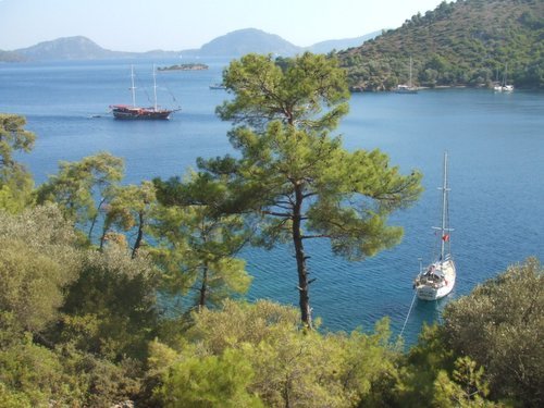 Avalon in Tomb Bay